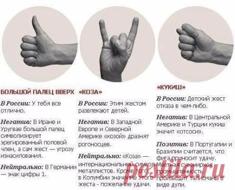 Международные жесты