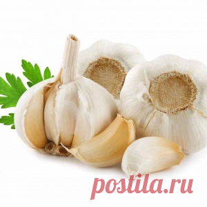 Вкуснейшие чесночные рецепты