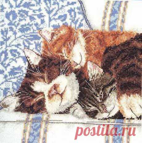 Gallery.ru / Фото #59 - Котики - Nadya-S