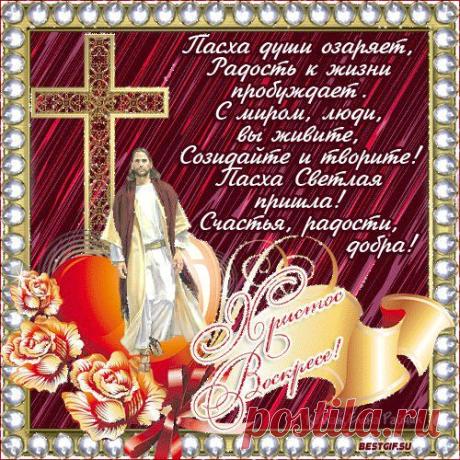 Гостиница для собак п.Тавричанка (продолжение)