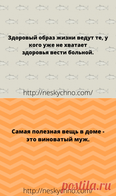 Веселые анекдоты из жизни на злобу дня