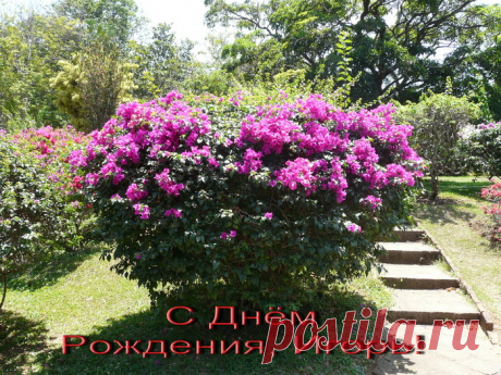 Искрометные анекдоты от Цилечки.