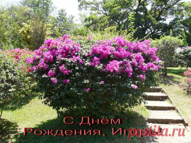 Искрометные анекдоты от Цилечки.