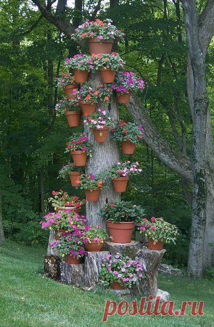 Причудливый рутарий на даче — 6 соток