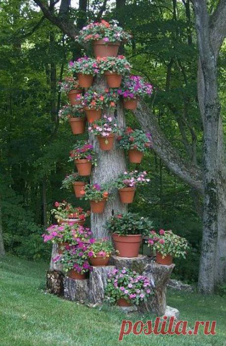 Причудливый рутарий на даче — 6 соток