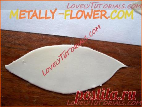лилия,lily,lilie,giglio,lirio - Страница 4 - Мастер-классы по украшению тортов Cake Decorating Tutorials (How To's) Tortas Paso a Paso