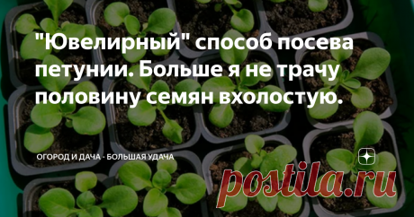 "Ювелирный" способ посева петунии. Больше я не трачу половину семян вхолостую. Любители разведения растений с мелкими семенами, не понаслышке знают, о том, как порой сложно аккуратно произвести посев, не просыпав в одну лунку сразу десяток семян. У меня трудности обычно были с петунией и лобелией, но тут мне попался очень интересный способ, который исключает вероятность чрезмерного расхода при заделке.
Итак, данный способ, ввиду его высокой