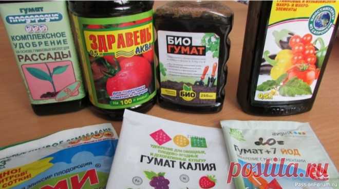 Дачникам. Летние подкормки сада Летние подкормки гуматами: секреты успешного применения!Летний период – время активного развития растений, когда особенно важно обеспечить их всеми необходимыми питательными веществами. Гуматы становятся незаменимым помощником в этот период, помогая растениям справиться с нагрузками и...