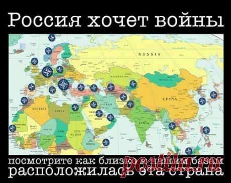 Грегори Явлинский: это Россия виновата в том, что НАТО приблизилось к её границам

Предвыборный сезон — благодатная пора. День за днём на свет появляются новые откровения политиков. То, о чём никто даже подумать не мог, озвучивается устами политических мамонтов, которые участвуют в новом витке политической жизни страны исключительно благодаря оживляющим их политтехнологам — этаким «таксидермистам ХХI века». Вот извечный вопрос по поводу беспокойного поведения НАТО. Казалось бы, всё очевидно. Н