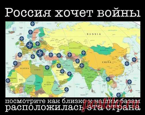 Грегори Явлинский: это Россия виновата в том, что НАТО приблизилось к её границам

Предвыборный сезон — благодатная пора. День за днём на свет появляются новые откровения политиков. То, о чём никто даже подумать не мог, озвучивается устами политических мамонтов, которые участвуют в новом витке политической жизни страны исключительно благодаря оживляющим их политтехнологам — этаким «таксидермистам ХХI века». Вот извечный вопрос по поводу беспокойного поведения НАТО. Казалось бы, всё очевидно. Н
