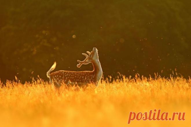 20 минималистических фотографий, на которых нет ничего лишнего