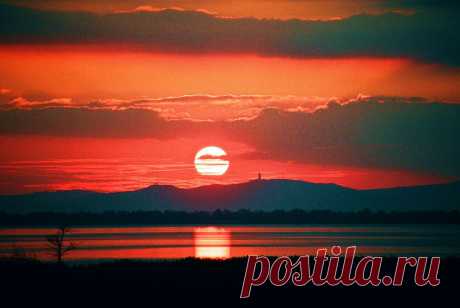 Этюд в багровых тонах