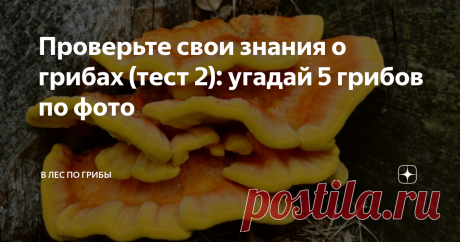 Проверьте свои знания о грибах (тест 2): угадай 5 грибов по фото Всем привет дорогие друзья грибоводы, как любители так и профессионалы. На этот раз конкурс проведем на знания грибов, которые растут на деревьях. Я думаю многим будет интересно узнать про тот или иной вид. Ведь в лесу растут не только грибы на земле, но и выше головы))
Правила очень просты. Кто первый правильно ответит на все 5 вопросов получит 300 рублей на телефон. Ответы пишите в комментариях
