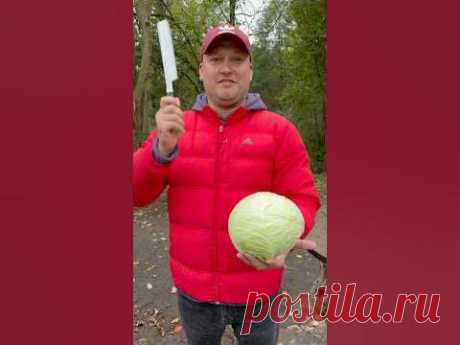 МАРИНОВАННАЯ КАПУСТА ДЛЯ ИСТИННЫХ ГУРМАНОВ