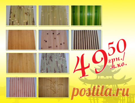 Нова Лiнiя — Новини