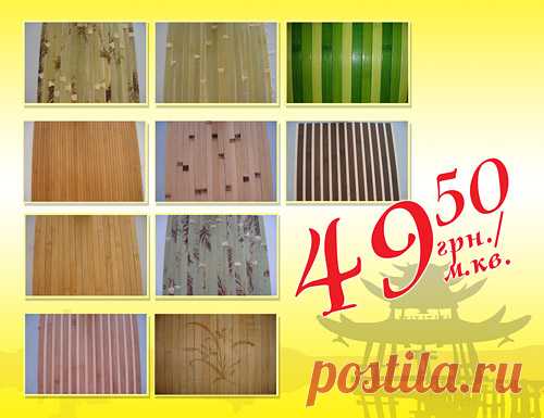 Нова Лiнiя — Новини