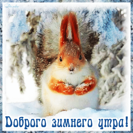 ДОБРОГО ЗИМНЕГО УТРА!