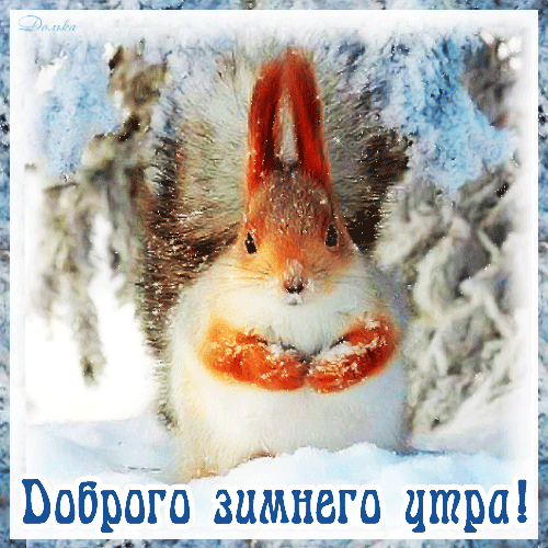 ДОБРОГО ЗИМНЕГО УТРА!