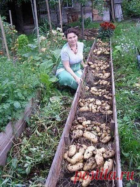 (66) Одноклассники