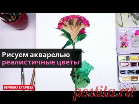 Как реалистично нарисовать цветы — kalachevaschool.ru — Акварельный урок с Вероникой Калачевой