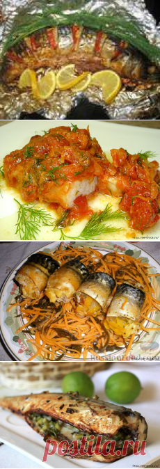 Подборка вкусных блюд из скумбрии