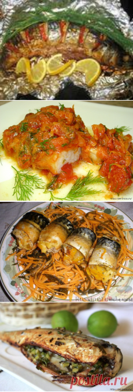 Подборка вкусных блюд из скумбрии