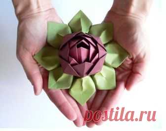 Цветок лотоса — Сделай сам, идеи для творчества - DIY Ideas