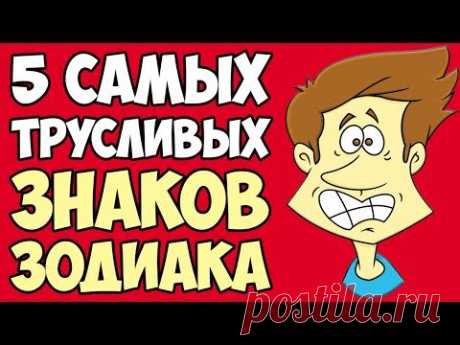Самые трусливые знаки зодиака | Дамы-Господа | Яндекс Дзен