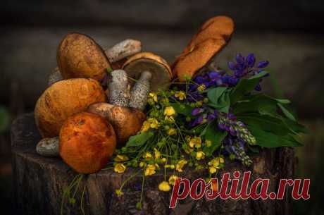 про туман, рожь, лето и иван-чай. Фотограф Марина Мурашова