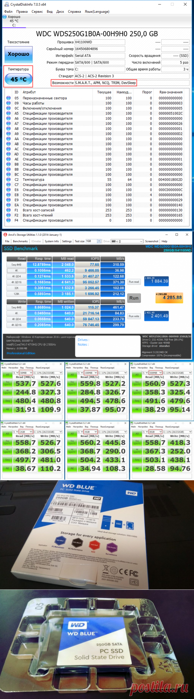 SSD WD Blue 250 Gb: Полный обзор диска Western Digital (2017)
