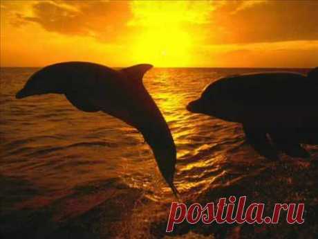 Chris Spheeris - Psyche