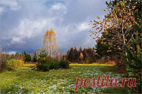 Фотография Первый снег укрыл листву... из раздела пейзаж №5289883 - фото.сайт - Photosight.ru