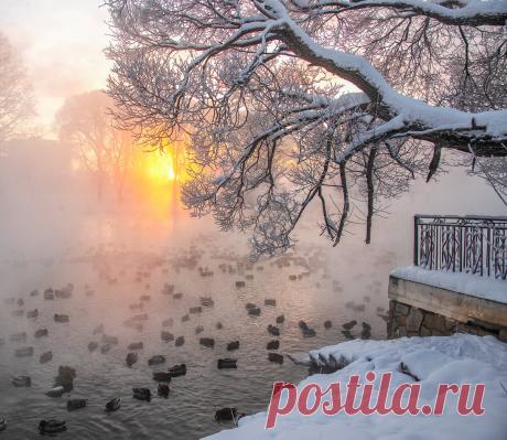 Не спал ради таких кадров. Подборка лучших кадров рассветов которые я поймал в 2021 году | Люблю жизнь и фотографирую | Яндекс Дзен
