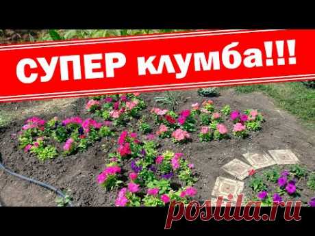 Оригинальные клумбы бабочки из петуний мамбо и суперкаскадной петунии, лобелии, гацании, вербены
