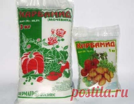 Внесение минеральных удобрений в почву. | Мое подворье