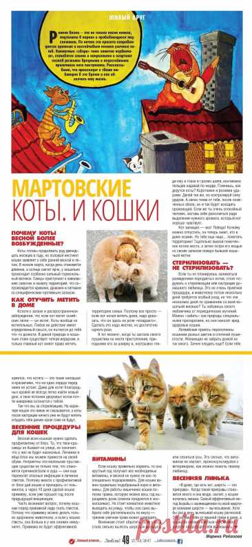 Мартовские коты и кошки