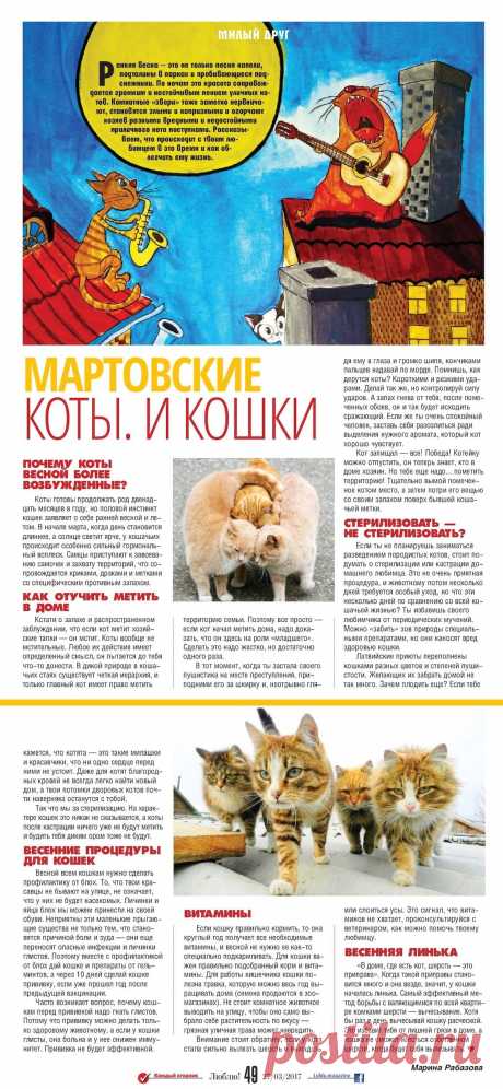 Мартовские коты и кошки