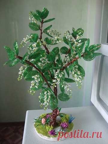 (3) Одноклассники