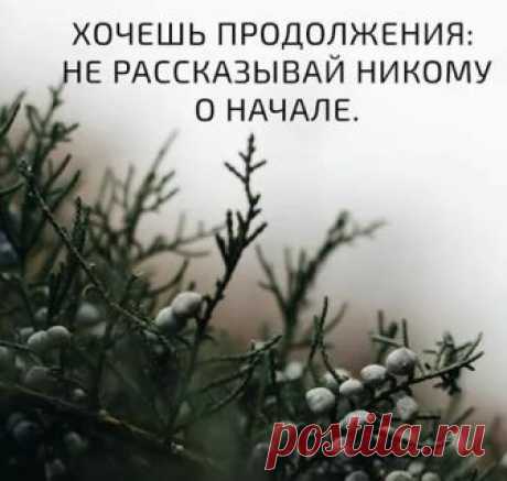Статусы о Любви и Жизни