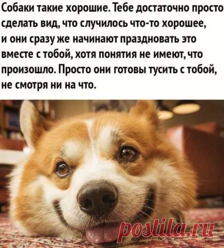м