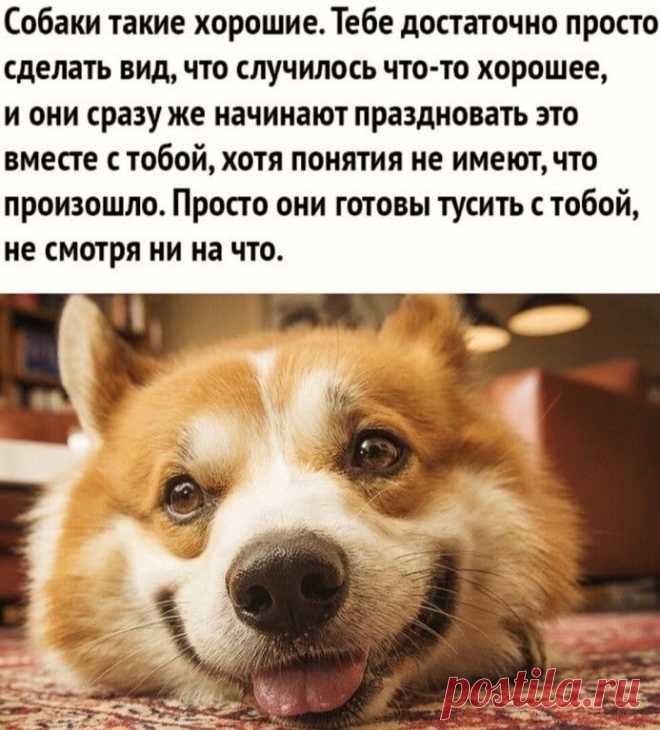 м