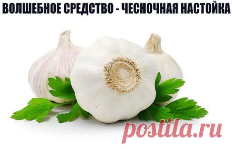 1 непрочитанный чат