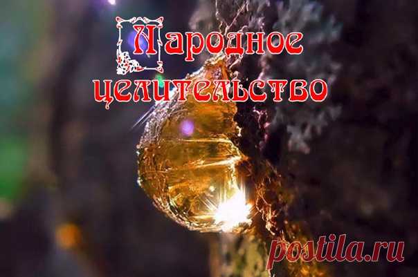 ЦЕЛЕБНАЯ СИЛА ЖИВИЦЫ

СОСНОВАЯ ЖИВИЦА оказывает выраженное противомикробное, иммуностимулирующее и ранозаживляющее действие. Используют ее для лечения кожных заболеваний (герпес, кандидоз, трофические язвы, пролежни, ожоги), заболеваний опорно-двигательного аппарата (остеопороз, заболевания суставов, для восстановления соединительной ткани), заболеваний ЖКТ ( гастриты, колиты, язвенная болезнь) заболевании десен и мастопатии. Живица сосны широко применяется в качестве проф...