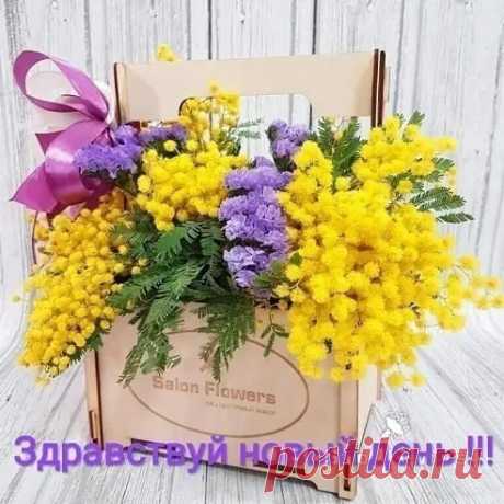 Photo by Natalia Elkhova on April 07, 2020.