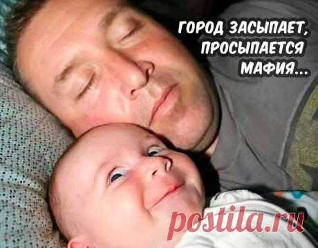 Прикольные фразочки в картинках для хорошего настроения