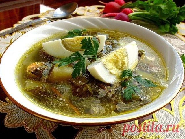 Как сварить щавелевые щи :: как готовить холодные зеленые щи с яйцом :: Кулинарные рецепты :: Кулинарные рецепты