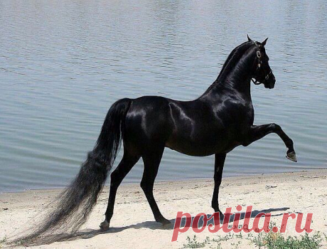 Одноклассники