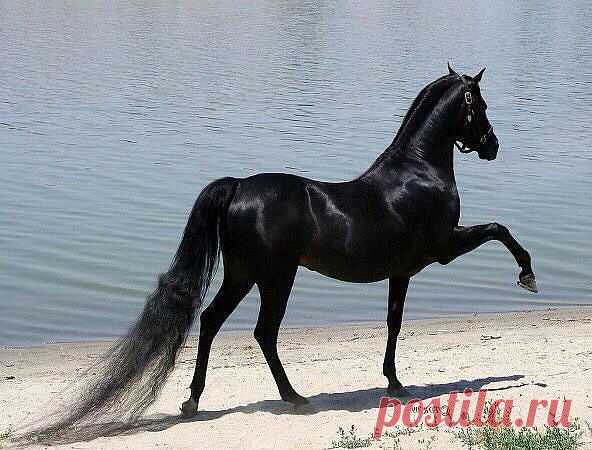 Одноклассники