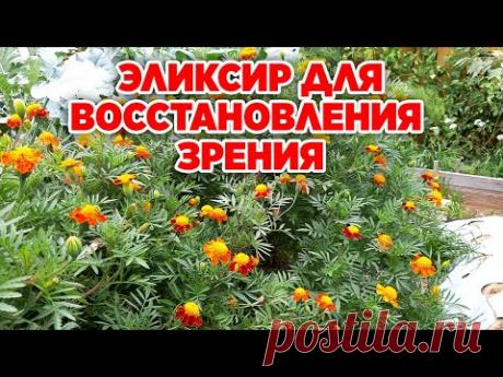 КАК СОХРАНИТЬ ЗРЕНИЕ ОТ КАТАРАКТЫ И ГЛАУКОМЫ