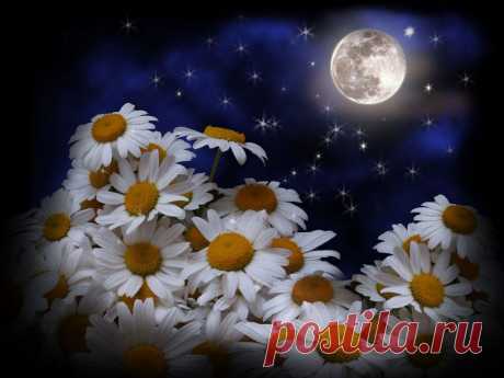 картинки части суток утро день вечер ночь: 31 тыс изображений найдено в Яндекс.Картинках